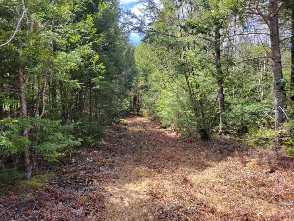 20 Moose Trail Waltham ME 04605
