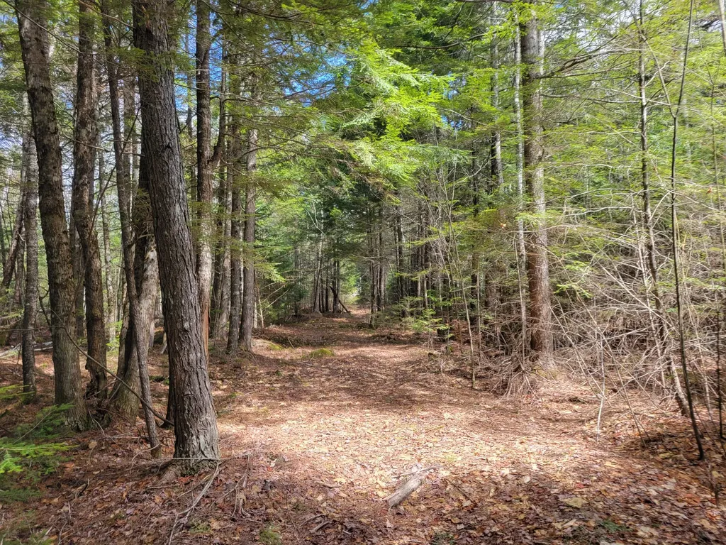 20 Moose Trail Waltham ME 04605