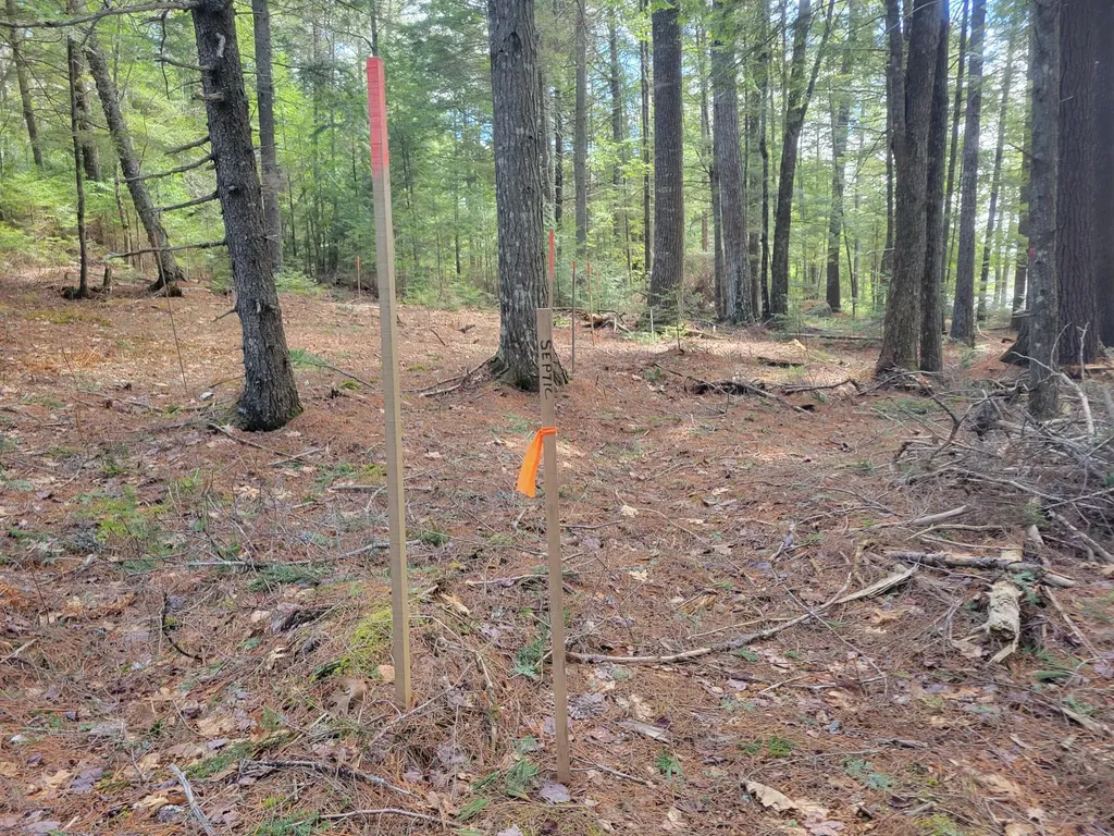 20 Moose Trail Waltham ME 04605