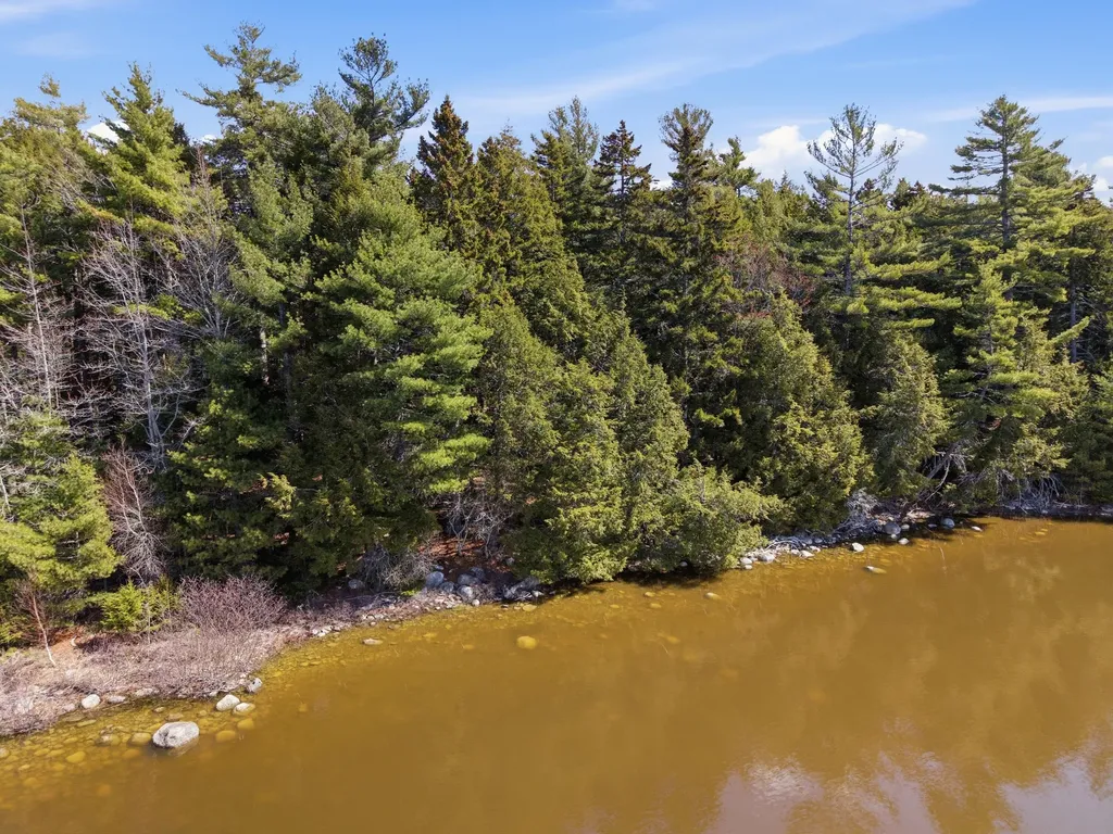 20 Moose Trail Waltham ME 04605