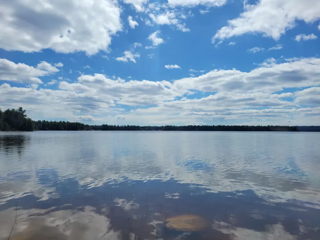 20 Moose Trail Waltham ME 04605