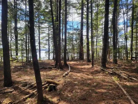 20 Moose Trail Waltham ME 04605