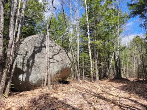 20 Moose Trail Waltham ME 04605
