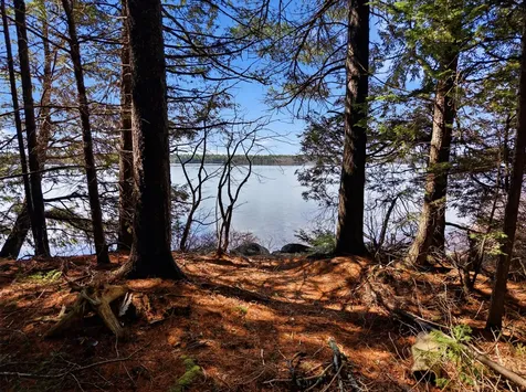20 Moose Trail Waltham ME 04605