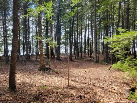 20 Moose Trail Waltham ME 04605