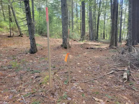 20 Moose Trail Waltham ME 04605