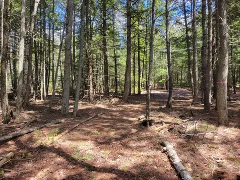 20 Moose Trail Waltham ME 04605