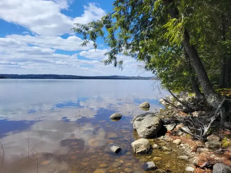 20 Moose Trail Waltham ME 04605