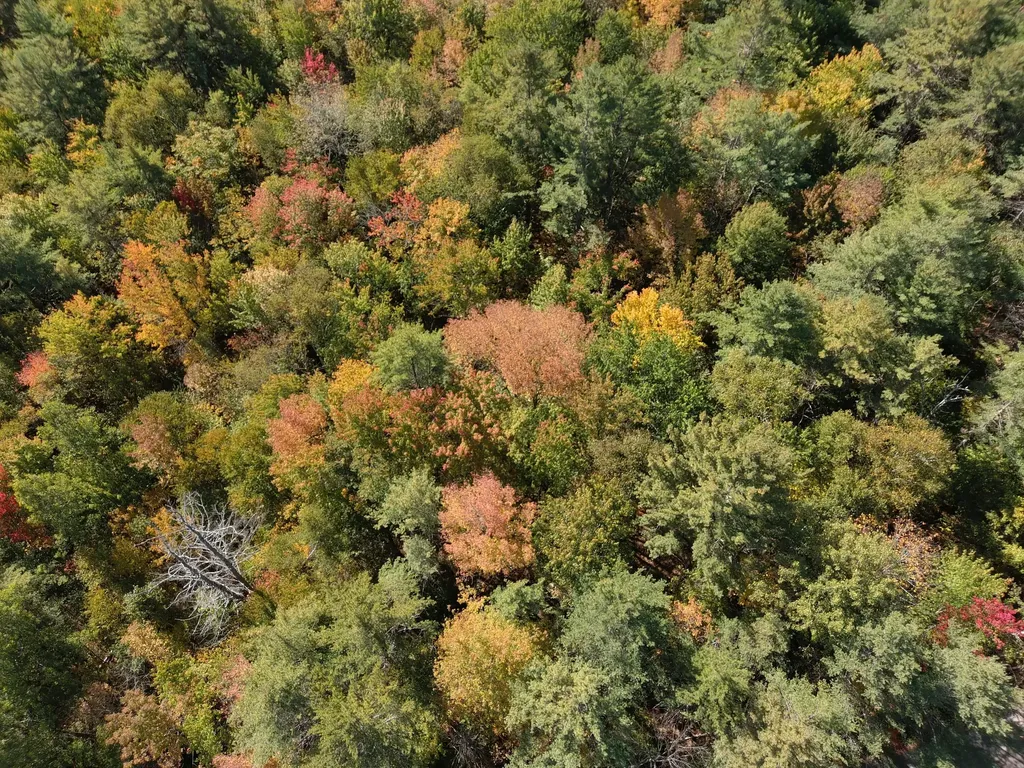 MAP5 Lot39 Hardwood Lane Fairfield ME 04937