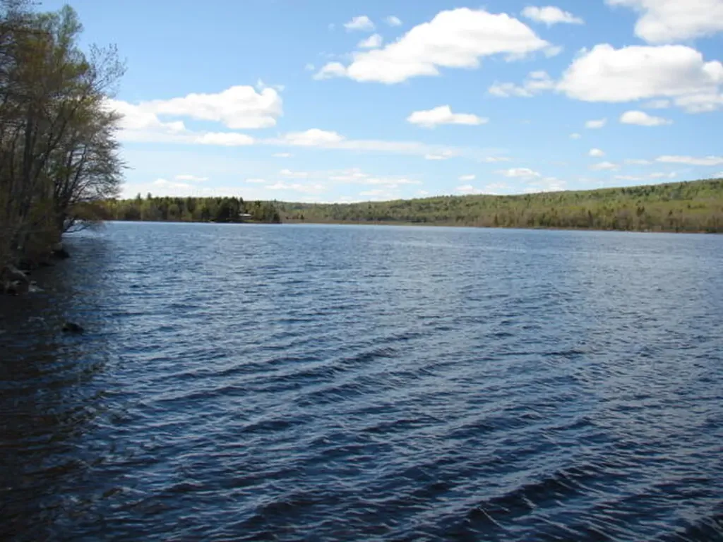 Lot 76.3 23 Acres Off Long Falls Dam Road Lexington Twp ME 04961