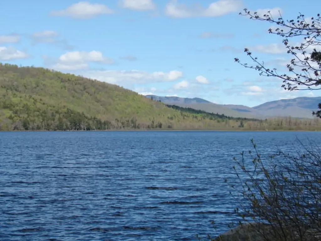Lot 76.3 23 Acres Off Long Falls Dam Road Lexington Twp ME 04961