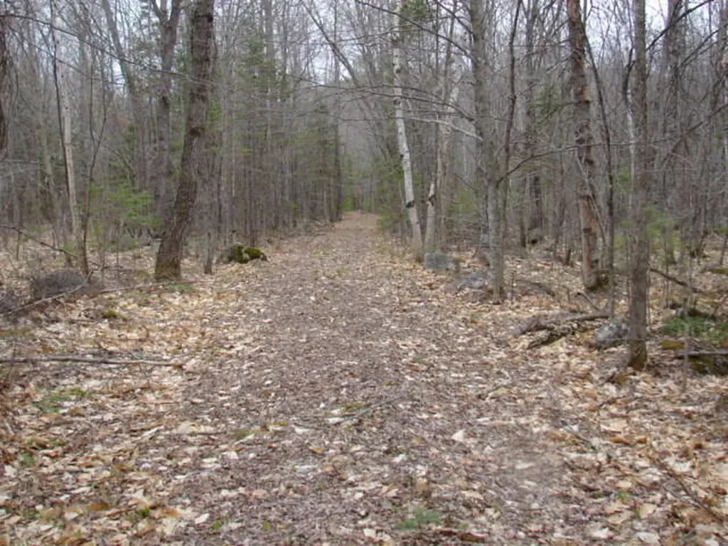 Lot 76.3 23 Acres Off Long Falls Dam Road Lexington Twp ME 04961