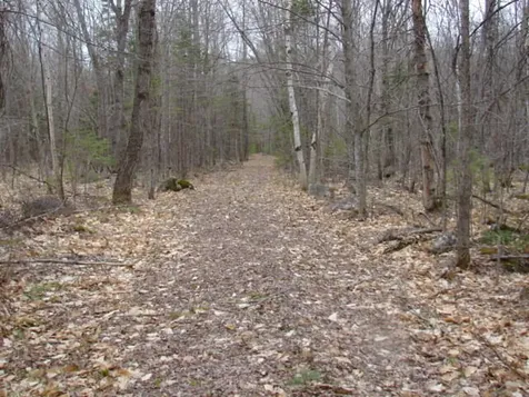 Lot 76.3 23 Acres Off Long Falls Dam Road Lexington Twp ME 04961