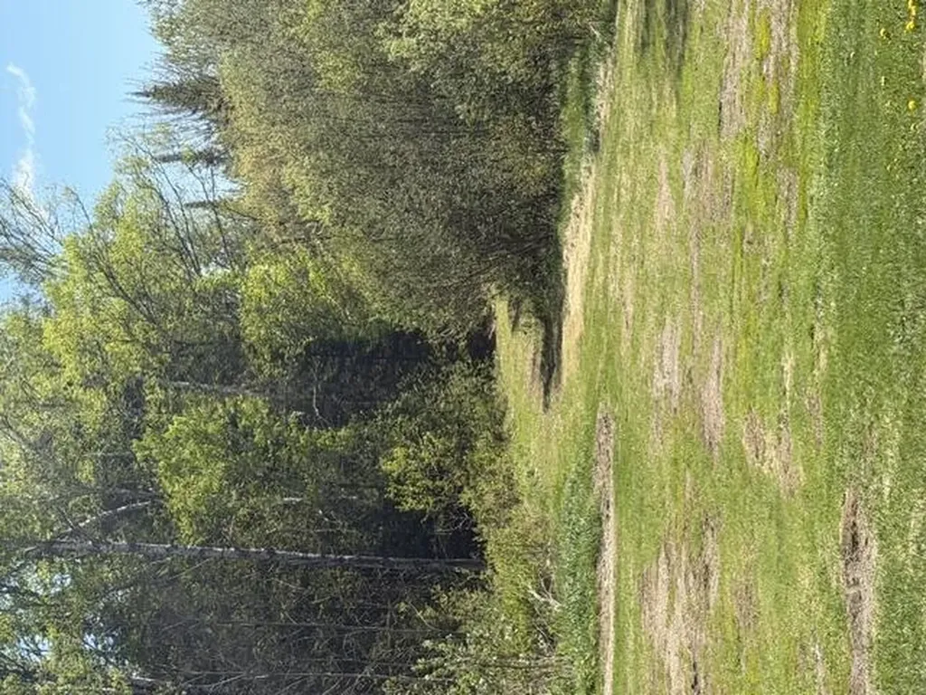 1149 Shin Pond Road Mount Chase ME 04765