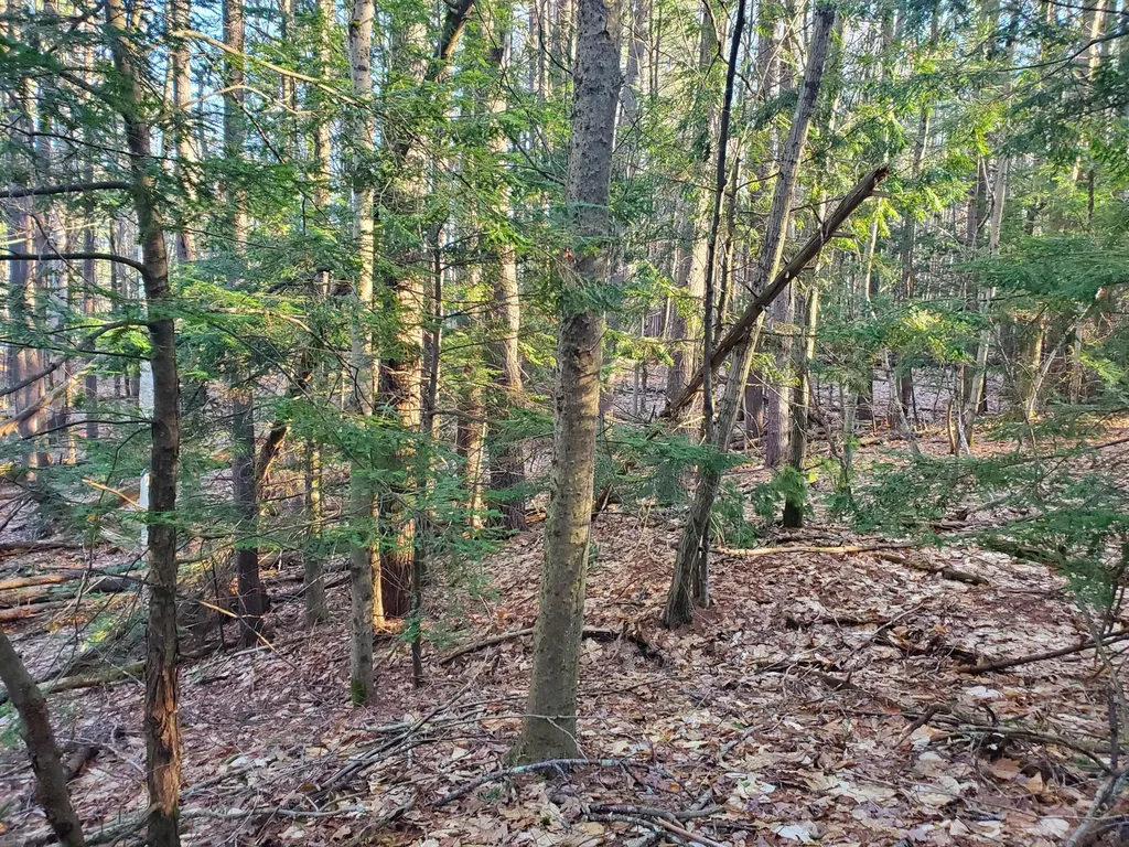 Lot #47 Gray Road Gorham ME 04038