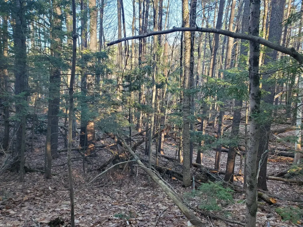 Lot #47 Gray Road Gorham ME 04038