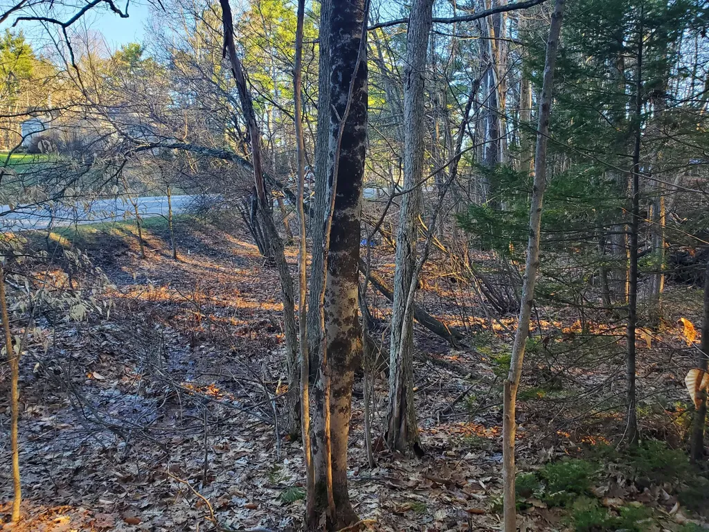 Lot #47 Gray Road Gorham ME 04038