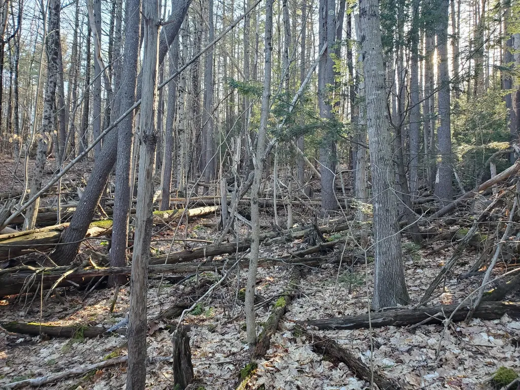 Lot #47 Gray Road Gorham ME 04038