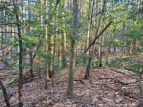 Lot #47 Gray Road Gorham ME 04038