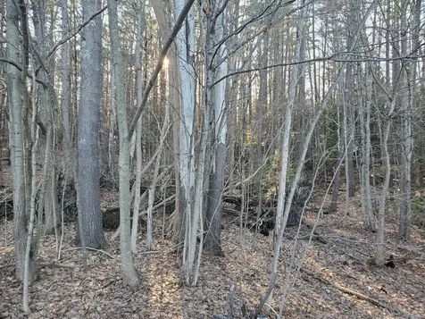 Lot #47 Gray Road Gorham ME 04038