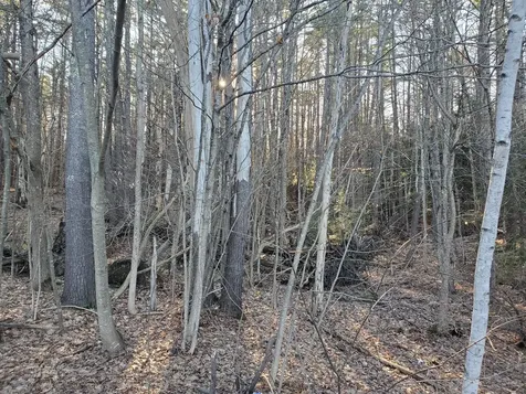 Lot #47 Gray Road Gorham ME 04038