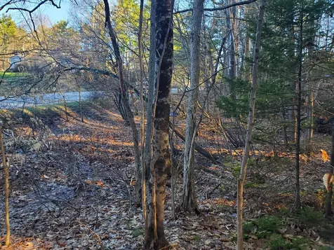Lot #47 Gray Road Gorham ME 04038