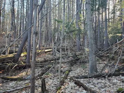 Lot #47 Gray Road Gorham ME 04038