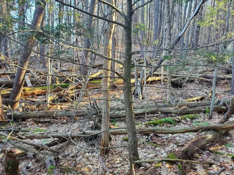 Lot #47 Gray Road Gorham ME 04038
