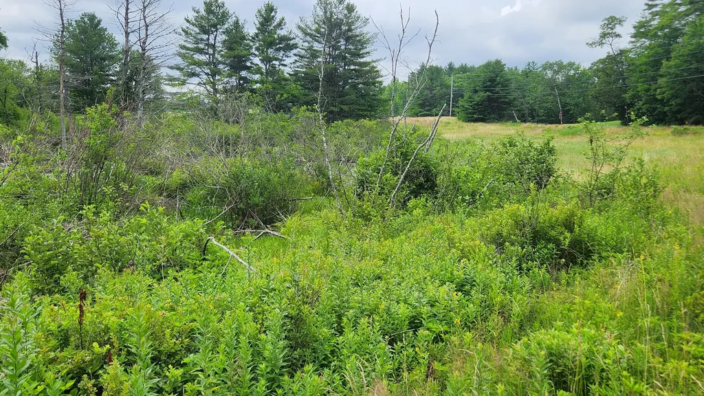 00 Dana Mill Road Woolwich ME 04579