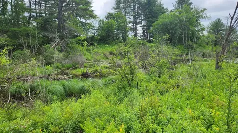 00 Dana Mill Road Woolwich ME 04579
