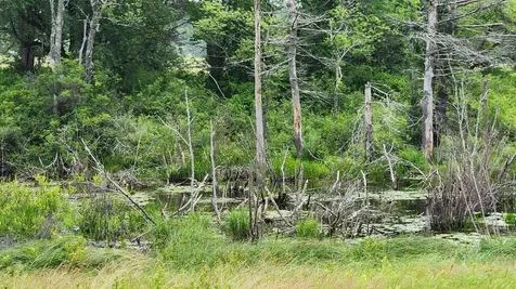 00 Dana Mill Road Woolwich ME 04579