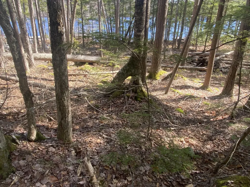 89 Valhalla Lane Norway ME 04268