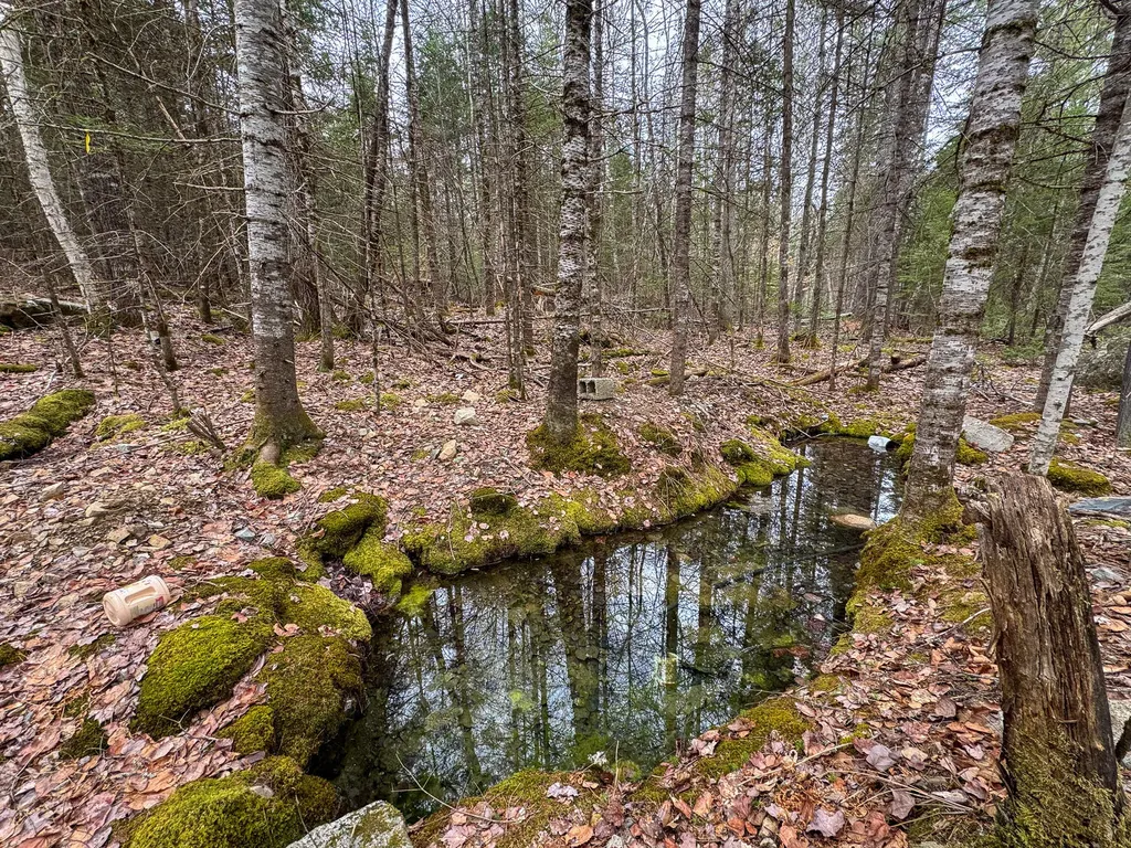 Lot 13 Fogg Brook Road Summit Twp ME 04493