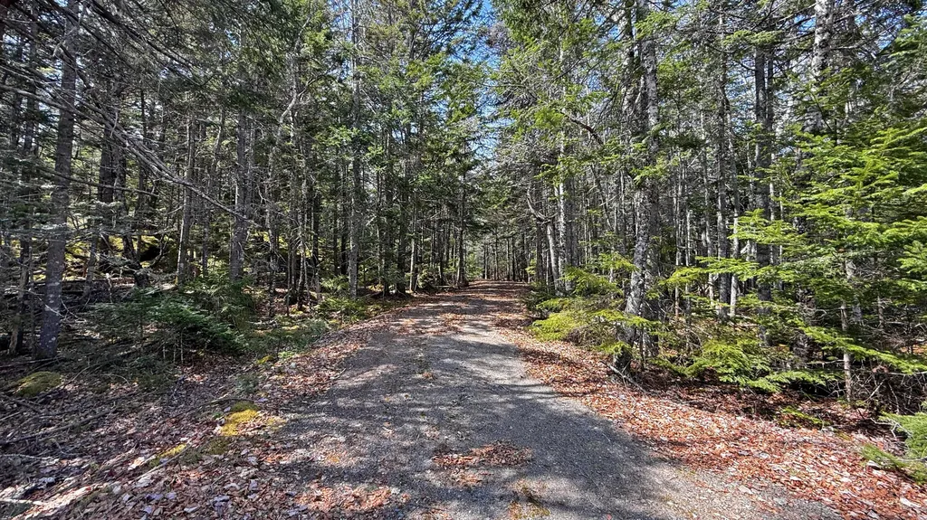185 Coffins Neck Road Lubec ME 04691