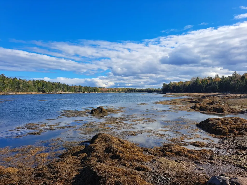 185 Coffins Neck Road Lubec ME 04691