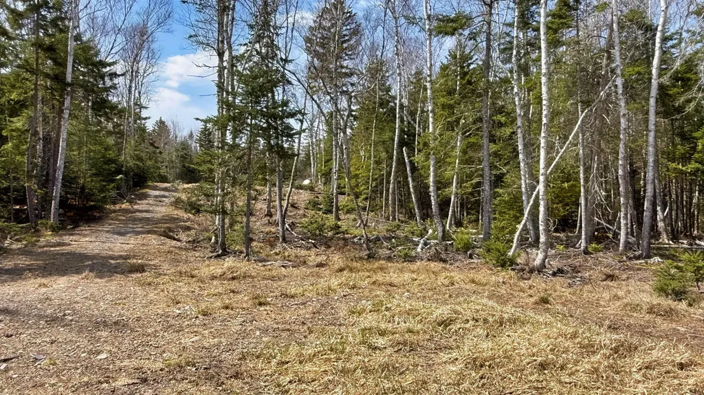 185 Coffins Neck Road Lubec ME 04691