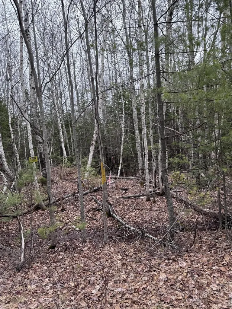 24&36 Wolf Run Trail Greenbush ME 04418
