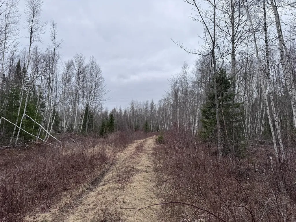 24&36 Wolf Run Trail Greenbush ME 04418