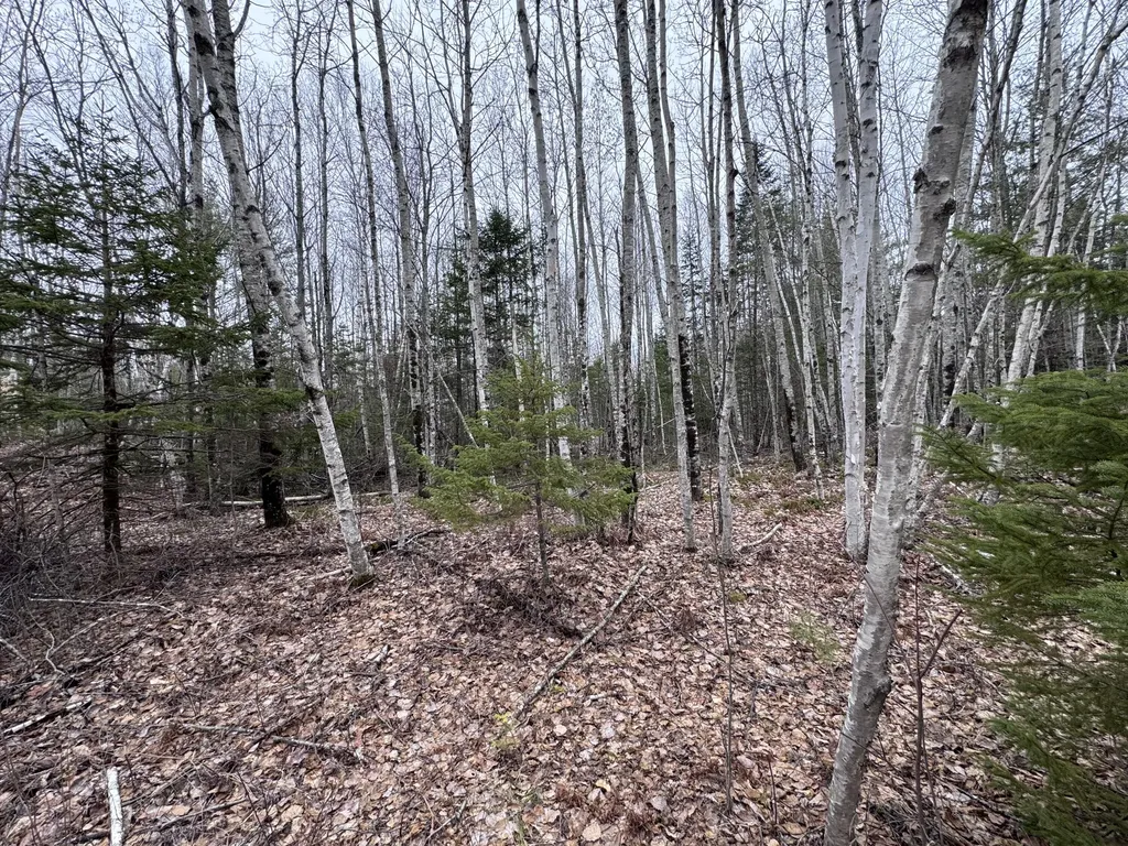 24&36 Wolf Run Trail Greenbush ME 04418