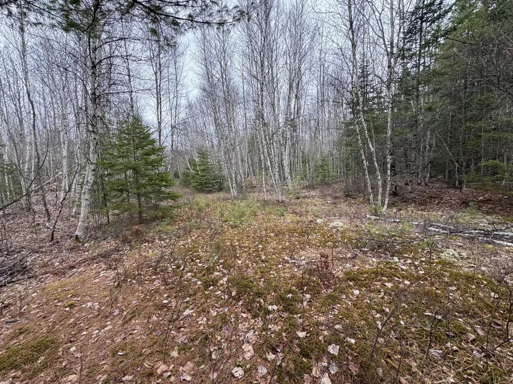24&36 Wolf Run Trail Greenbush ME 04418