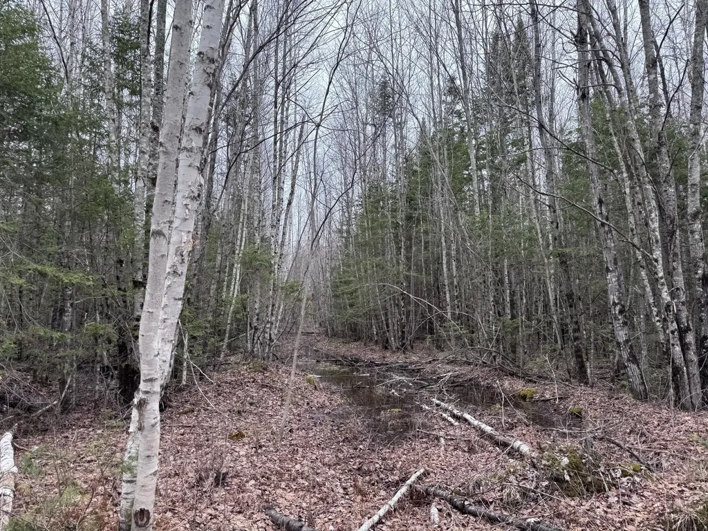 24&36 Wolf Run Trail Greenbush ME 04418
