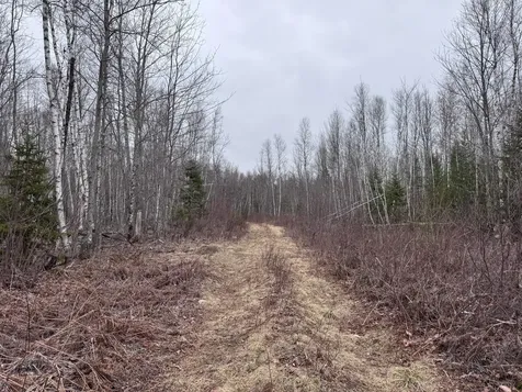 24&36 Wolf Run Trail Greenbush ME 04418