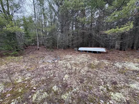 24&36 Wolf Run Trail Greenbush ME 04418