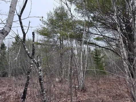 24&36 Wolf Run Trail Greenbush ME 04418