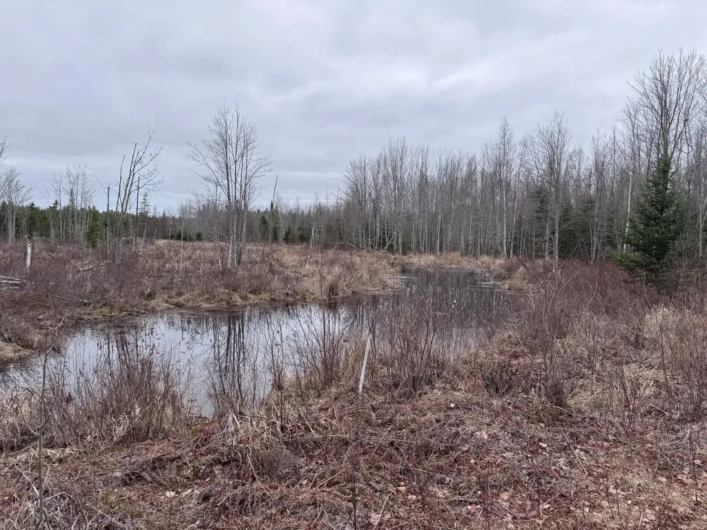 36 Otter Trail Greenbush ME 04418