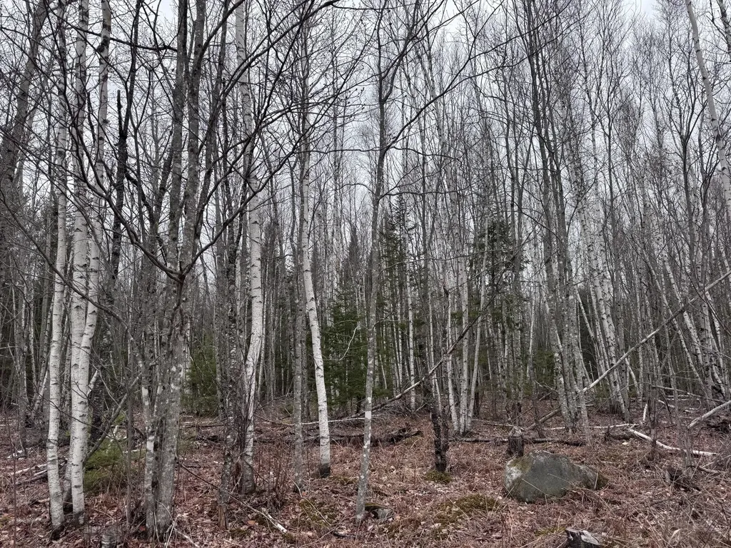 36 Otter Trail Greenbush ME 04418