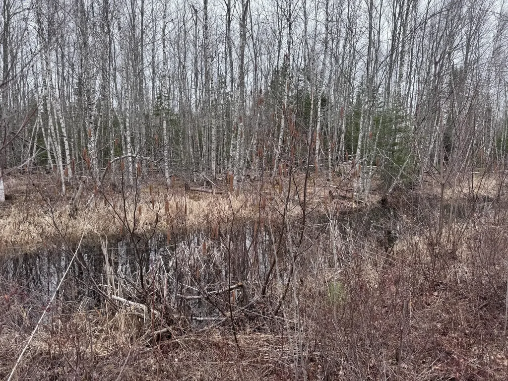 36 Otter Trail Greenbush ME 04418