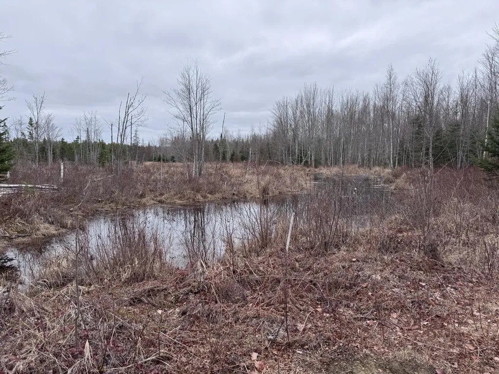 36 Otter Trail Greenbush ME 04418