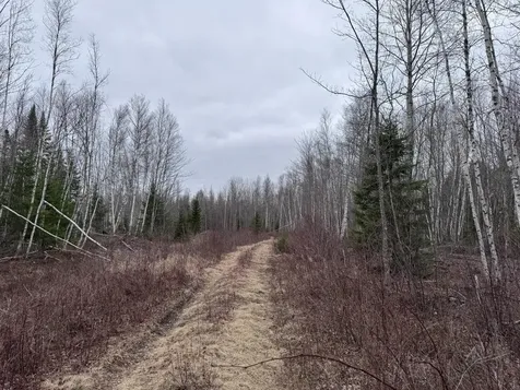 36 Otter Trail Greenbush ME 04418