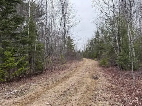 36 Otter Trail Greenbush ME 04418